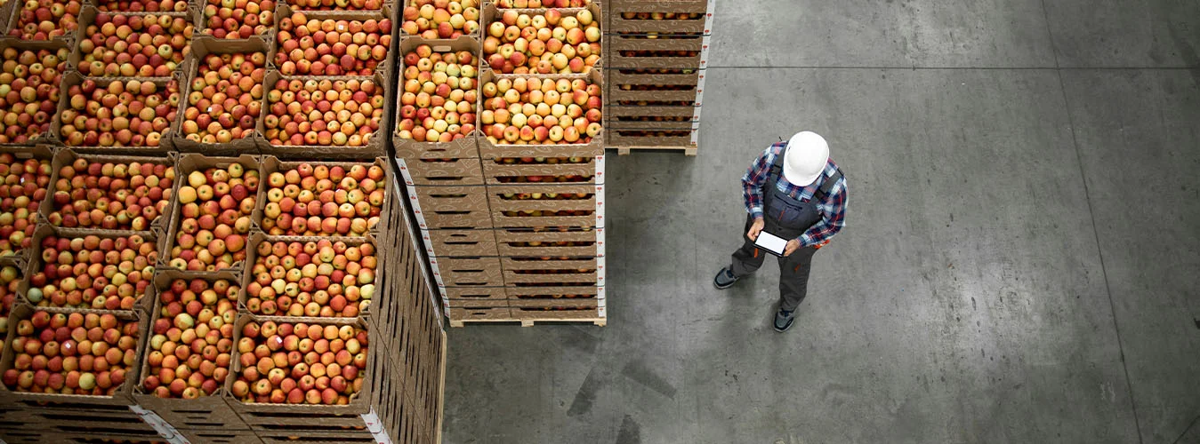 Vogelperspektive auf Obstkisten in einem Lagerhaus, ein Mitarbeiter mit Tablet prüft den Bestand